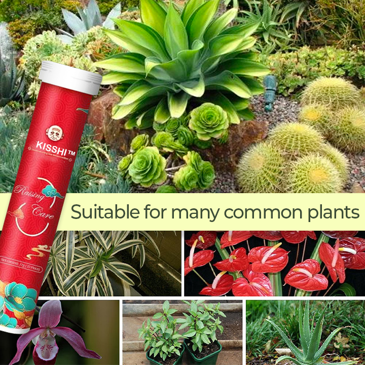 Universal Slow-Release Organic Fertilizer