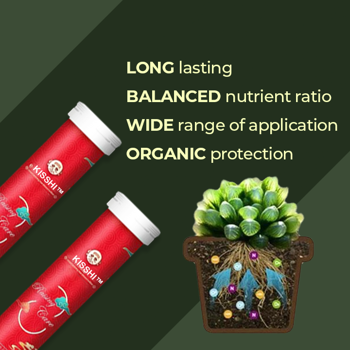 Universal Slow-Release Organic Fertilizer