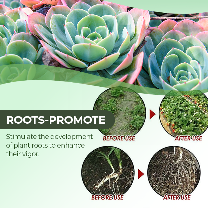 Universal Slow-Release Organic Fertilizer